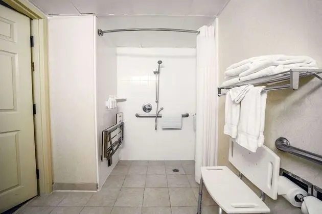 Stüdyo Süit, 1 En Büyük (King) Boy Yatak, Engellilere Uygun, Sigara İçilmez (Roll-in Shower)