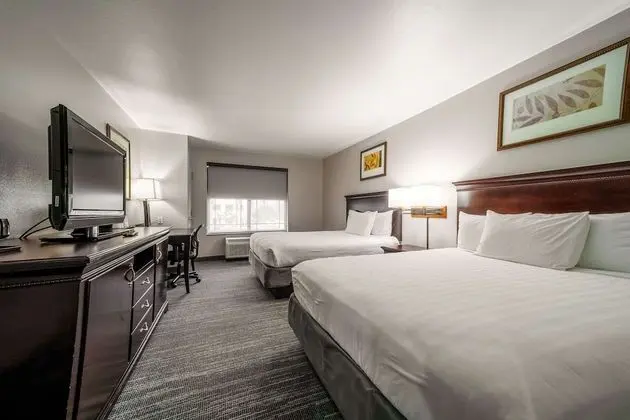 Süit, 2 Büyük (Queen) Boy Yatak, Sigara İçilmez (Extended Stay)