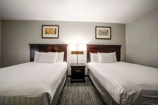 Süit, 2 Büyük (Queen) Boy Yatak, Sigara İçilmez (Extended Stay)