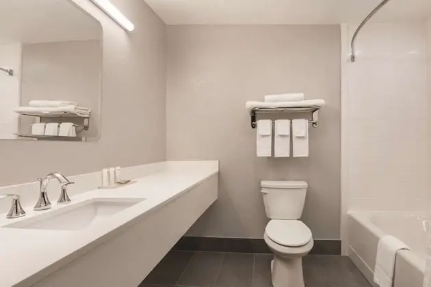 Süit, 1 Yatak Odası, Sigara İçilmez