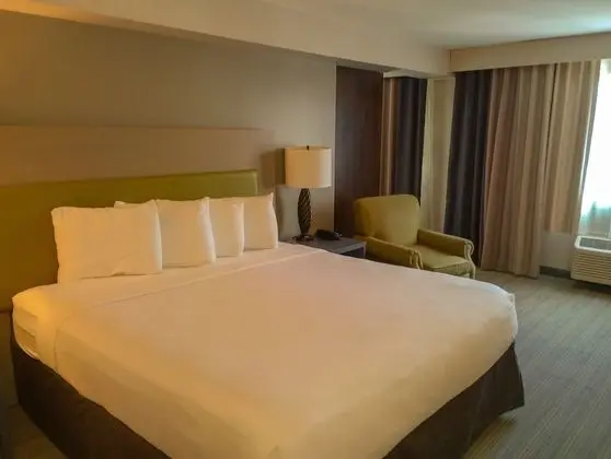 Oda, 1 En Büyük (King) Boy Yatak, Sigara İçilmez, Küçük Mutfak (Extended Stay)