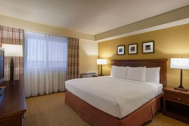 Süit, 1 Yatak Odası, Sigara İçilmez (1 King Bed)