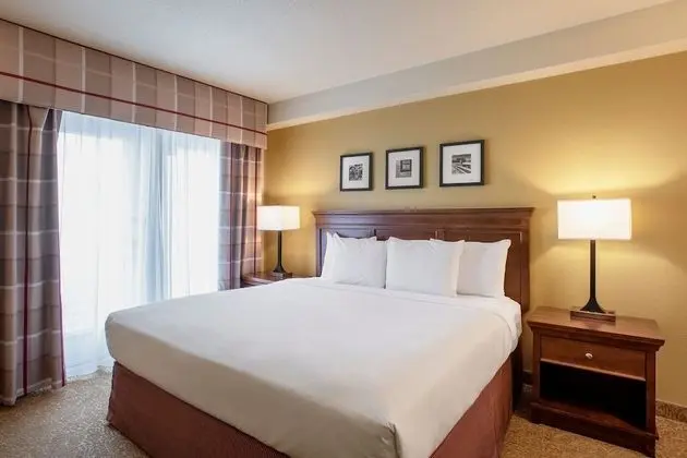 Süit, 1 Yatak Odası, Sigara İçilmez (1 King Bed)