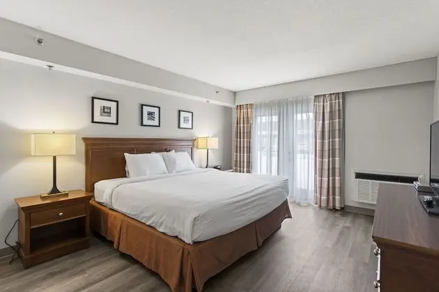 Süit, 1 Yatak Odası, Sigara İçilmez (1 King Bed)