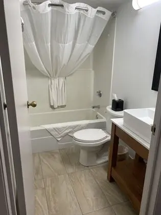 Süit, 1 Yatak Odası, Sigara İçilmez (1 King Bed)