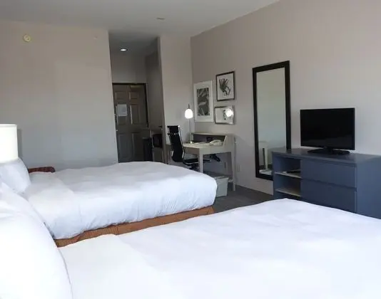 Premium Oda, 2 Büyük (Queen) Boy Yatak, Sigara İçilmez