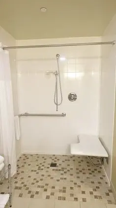 Süit, 1 En Büyük (King) Boy Yatak, Engellilere Uygun, Sıcak Su Küveti (Non Smoking)