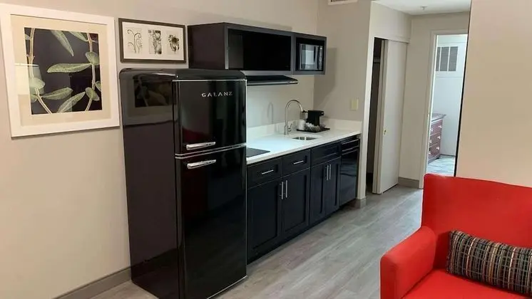 Süit, 1 Yatak Odası, Sigara İçilmez, Küçük Mutfak