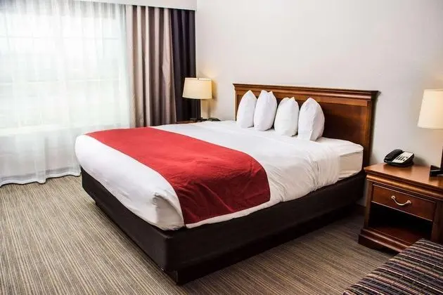 Stüdyo Süit, 1 En Büyük (King) Boy Yatak, Sigara İçilmez (Pet Friendly)