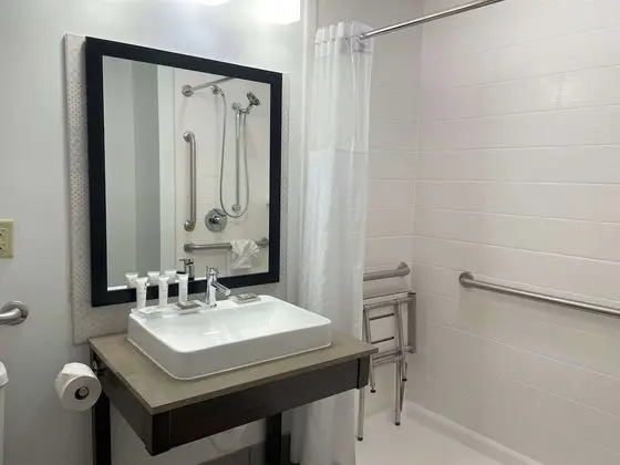Stüdyo Süit, 1 En Büyük (King) Boy Yatak, Engellilere Uygun, Sigara İçilmez (Roll-in Shower)