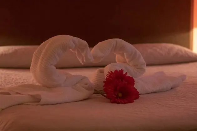 Superior Tek Büyük veya İki Ayrı Yataklı Oda