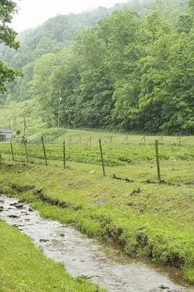 Basic Kulübe, 1 Çift Kişilik Yatak, Tepe Manzaralı