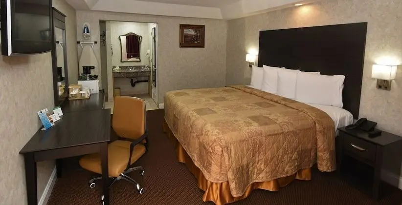 Deluxe Oda, 1 En Büyük (King) Boy Yatak, Sigara İçilmez, Buzdolabı ve Mikrodalga