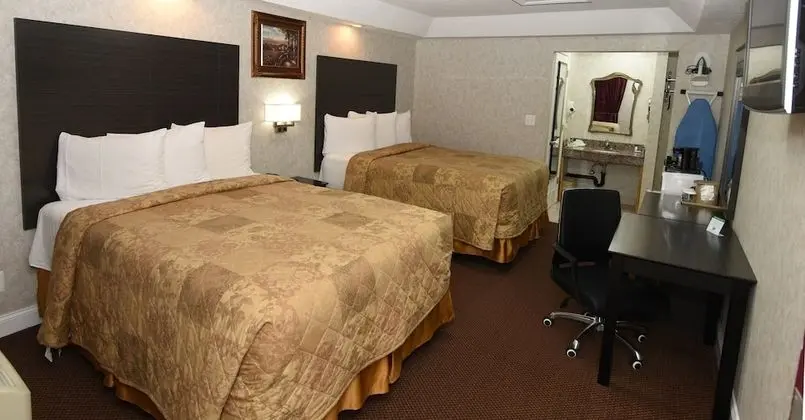 Deluxe Oda, 2 Büyük (Queen) Boy Yatak, Sigara İçilmez, Buzdolabı ve Mikrodalga