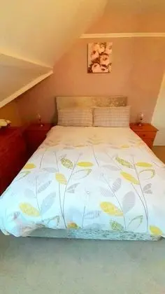 Tek Büyük Yataklı Oda, Banyolu/Duşlu