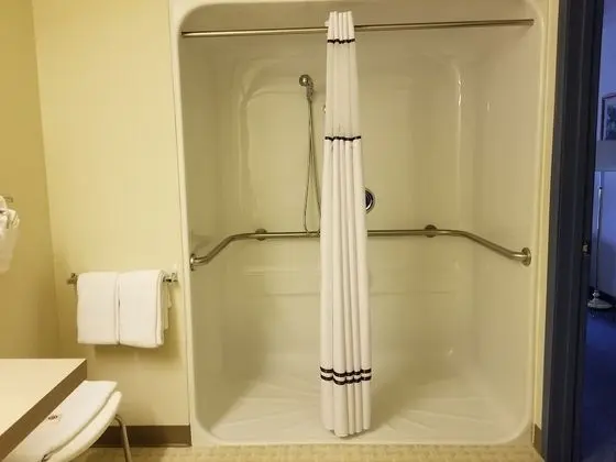 Standard Tek Kişilik Oda, 1 En Büyük (King) Boy Yatak, Engellilere Uygun, Buzdolabı ve Mikrodalga