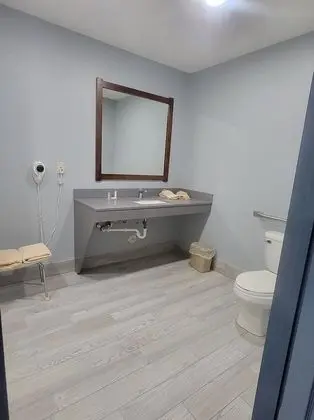 Standard Tek Kişilik Oda, 1 En Büyük (King) Boy Yatak, Engellilere Uygun, Buzdolabı ve Mikrodalga