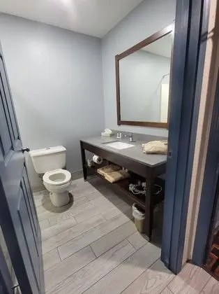 Standard Tek Kişilik Oda, 1 En Büyük (King) Boy Yatak, Sigara İçilmez, Buzdolabı ve Mikrodalga