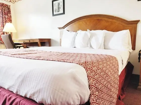 Deluxe Oda, 1 En Büyük (King) Boy Yatak