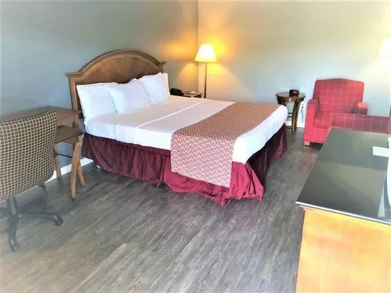 Deluxe Oda, 1 En Büyük (King) Boy Yatak