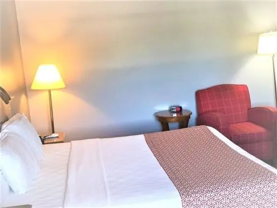 Deluxe Oda, 1 En Büyük (King) Boy Yatak