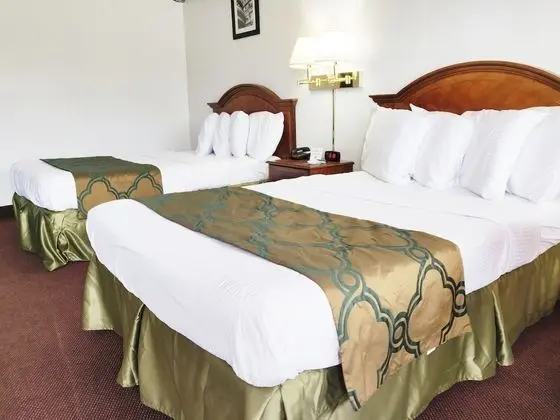 Deluxe Oda, 2 Çift Kişilik Yatak