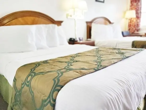 Deluxe Oda, 2 Çift Kişilik Yatak