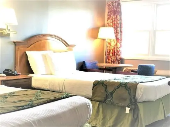 Deluxe Oda, 2 Çift Kişilik Yatak