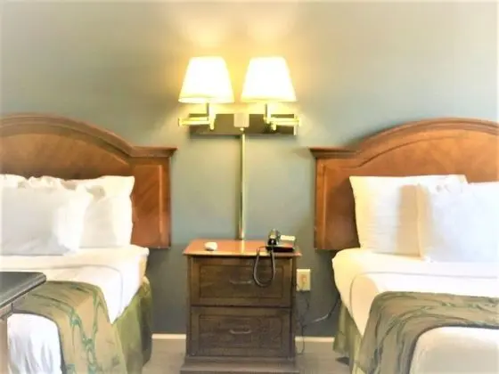 Deluxe Oda, 2 Çift Kişilik Yatak