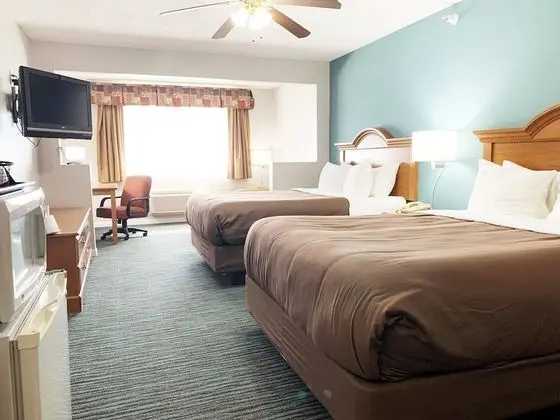 Süit, 2 Büyük (Queen) Boy Yatak