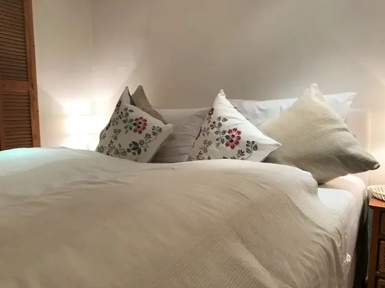 Exclusive Apart Daire, 1 Yatak Odası, Şömine, Bahçeli