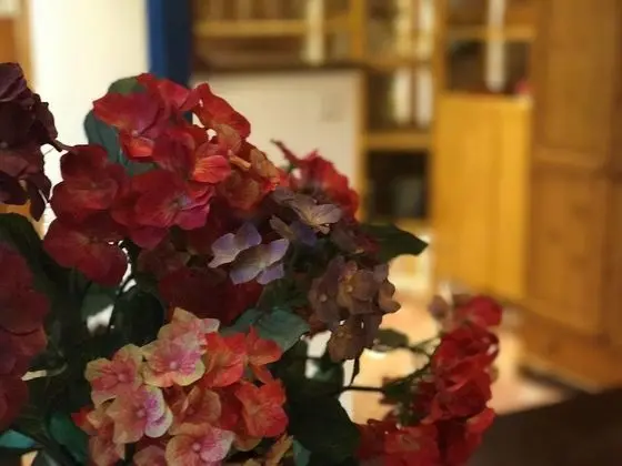 Exclusive Dubleks, 1 Yatak Odası, Şömine, Bahçeli