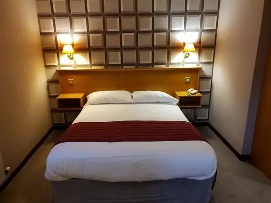 Deluxe Tek Büyük Yataklı Oda, 1 En Büyük (King) Boy Yatak, Sigara İçilmez