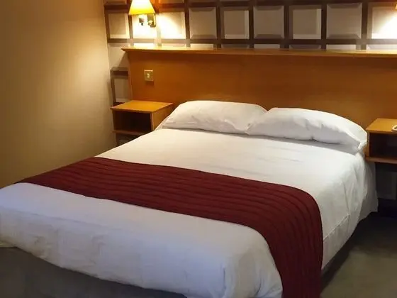 Deluxe Tek Büyük Yataklı Oda, 1 En Büyük (King) Boy Yatak, Sigara İçilmez