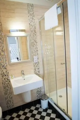 Standard Tek Büyük Yataklı Oda, Banyolu/Duşlu
