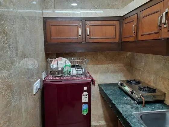 Apart Daire, 1 Yatak Odası, Sigara İçilebilir, Buzdolabı