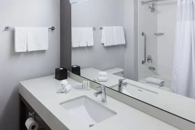 Oda, 1 En Büyük (King) Boy Yatak (Mobility/Hearing Access, Roll-In Shwr)