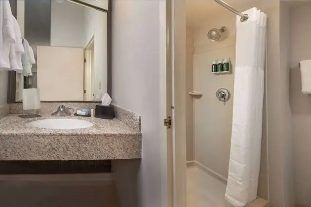 Oda, 1 En Büyük (King) Boy Yatak ve Çekyat, Engellilere Uygun (Mobility/Hearing Roll In Shower)