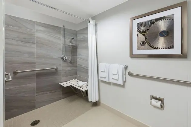 Oda, 1 En Büyük (King) Boy Yatak (Mobility Accessible, Roll-In Shower)