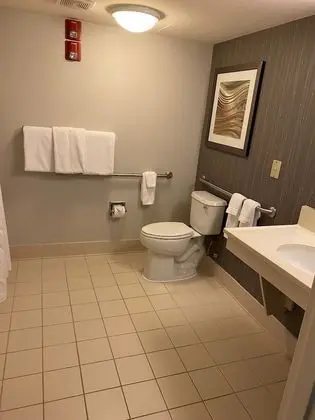 Oda, 1 En Büyük (King) Boy Yatak ve Çekyat (Mobility/Hearing Accessible, Tub)