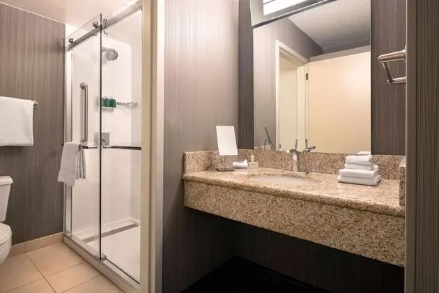 Deluxe Oda, 1 En Büyük (King) Boy Yatak ve Çekyat, Havuz Manzaralı (Patio Pool View)