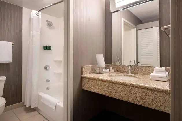 Deluxe Oda, 1 En Büyük (King) Boy Yatak ve Çekyat, Havuz Manzaralı (Patio Pool View)