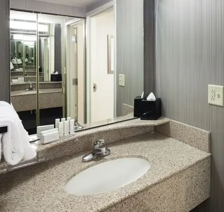 Oda, 1 En Büyük (King) Boy Yatak ve Çekyat (Mobility/Hearing Accessible, Tub)