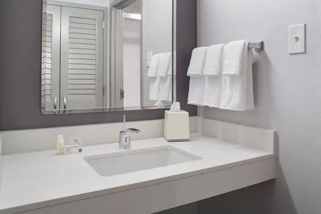 Süit, 1 En Büyük (King) Boy Yatak ve Çekyat (Mobility/Hearing Accessible, Tub)