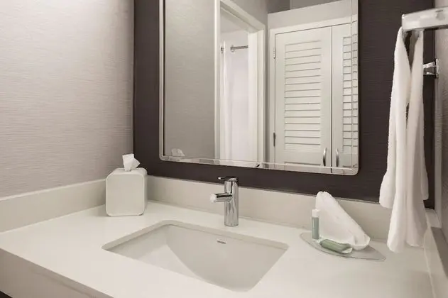 Oda, 1 En Büyük (King) Boy Yatak ve Çekyat (Mobility/Hearing Accessible, Tub)