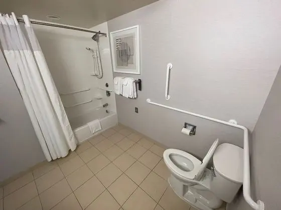 Oda, 1 En Büyük (King) Boy Yatak ve Çekyat (Mobility/Hearing Accessible, Tub)
