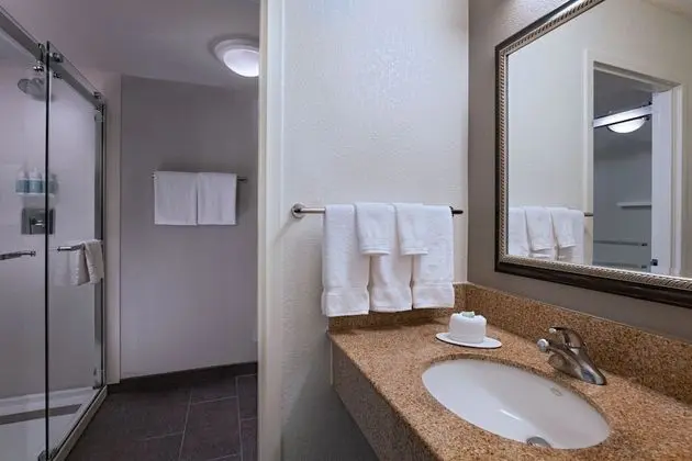 Oda, 1 En Büyük (King) Boy Yatak (Mobility Accessible, Roll-In Shower)