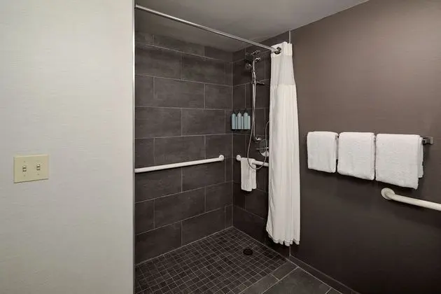 Deluxe Oda, 1 En Büyük (King) Boy Yatak ve Çekyat (Mobility Accessible, Roll-In Shower)