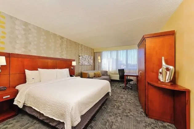 Deluxe Oda, 1 En Büyük (King) Boy Yatak ve Çekyat (Mobility Accessible, Roll-In Shower)