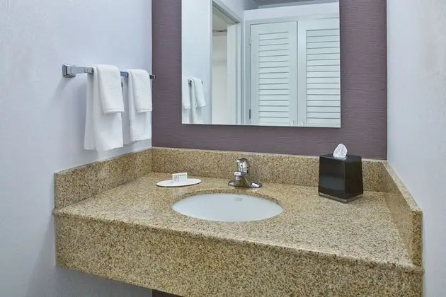Oda, 1 En Büyük (King) Boy Yatak ve Çekyat (Mobility/Hearing Accessible, Tub)